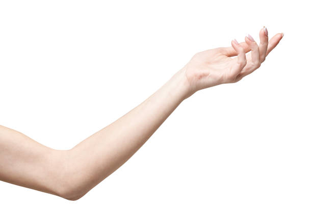 istock female hand poiting by finger isolated on white background with clipping path 1297960625