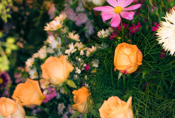 beautiful flowers wall background with amazing roses