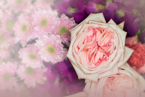 beautiful flowers wall background with amazing roses