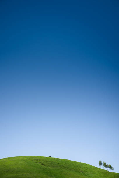 istock Minimalistic summer landscape with green meadow and blue sky. 1297967539