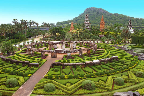 jardim tropical nong nooch em pattaya, tailândia - jardim botânico - fotografias e filmes do acervo