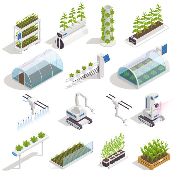 тепличная гидропоника изометрический набор - aeroponics stock illustrations