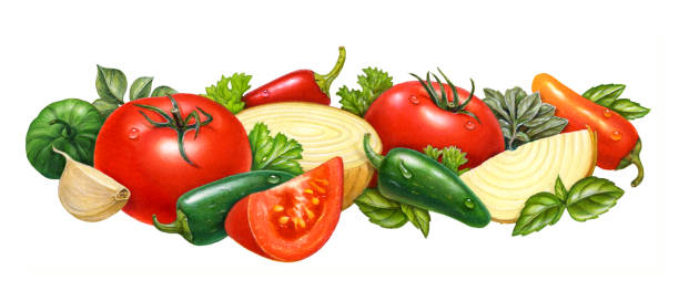 Salsa Horizontal A panoramic illustration of ingredients for salsa: tomatoes, tomatillos, onions, assorted chili peppers, garlic, and herbs. serrano chili pepper stock illustrations