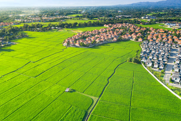 istock Land plot and green field in aerial view. 1297973948