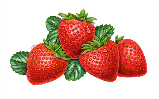 An illustration of a group of strawberries surrounded by leaves.