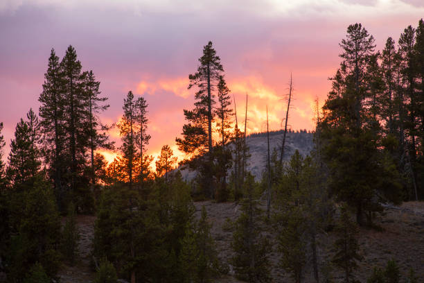 istock Midway Geyser Basin at Sunset 1297974297