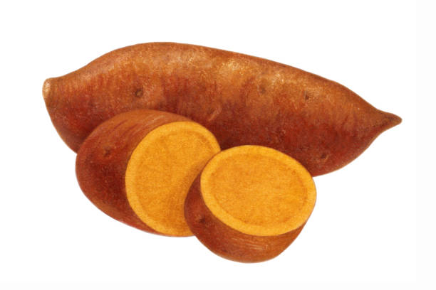 słodkie ziemniaki - sweet potato stock illustrations