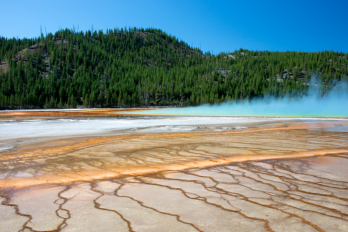 Closeup of Grand Prismatic Spring, Midway Geyser Basin, Yellowstone National Park, Wyoming, USA
