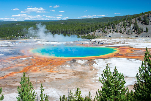 Grand Prismatic Spring, Midway Geyser Basin, Yellowstone National Park, Wyoming, USA