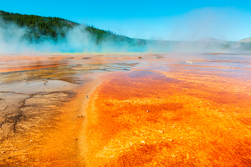 Closeup of Grand Prismatic Spring, Midway Geyser Basin, Yellowstone National Park, Wyoming, USA