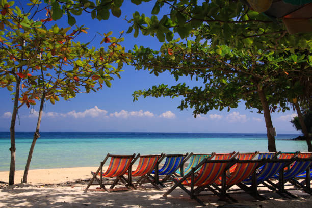 istock View on isolated colorful empty deck chairs in a row on tropical beach, Thailand, Ko Phi Phi - tourism industry perspective concept 1297975702