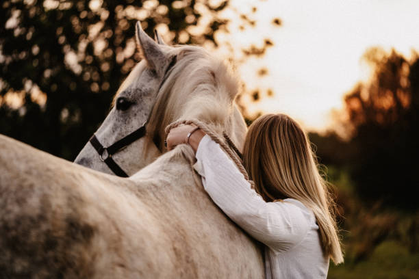 retrato de uma jovem loira por trás abraçando seu cavalo branco na natureza - beautiful lifestyles human face blond hair - fotografias e filmes do acervo