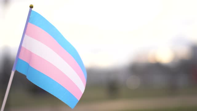 Transgender flag in the sky