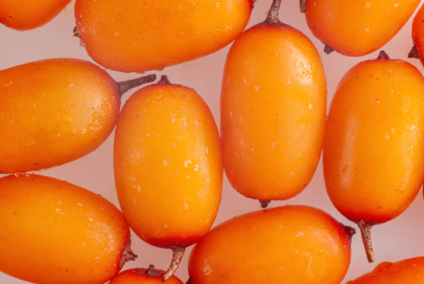Several frozen sea buckthorn berries macro
