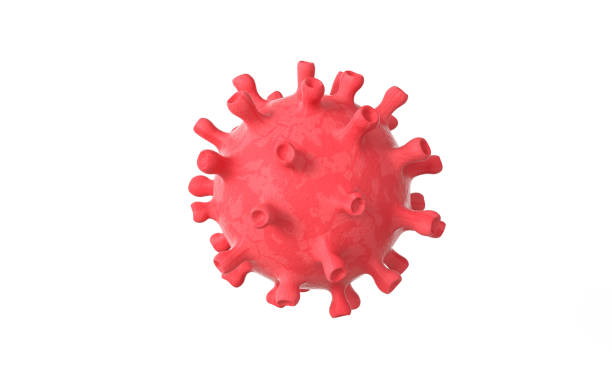 istock Coronavirus disease COVID-19.  SARS-CoV-2 single stranded RNA virus cell. 3D rendering. Pandemic medical health risk concept 1297979138
