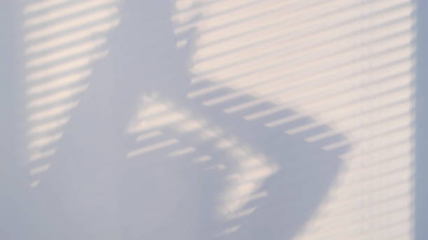 istock shadows on the wall from a window closed with blinds and a woman's silhouette. Blurry dark shadows moving on the wall 1297979540