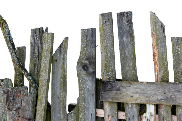 istock Old fence with crooked boards isolated on white background 1297980332