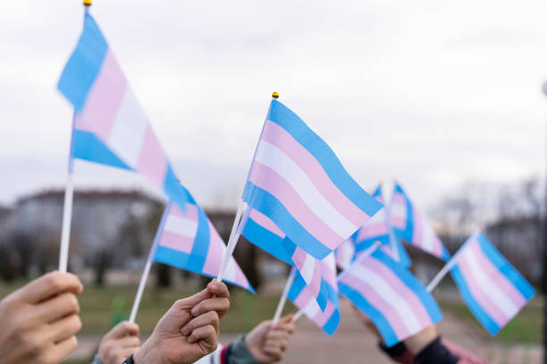 Diverse people holding transgender flags stock photo