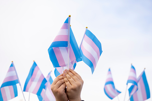 Transgender flags hold by people on a demonstration
