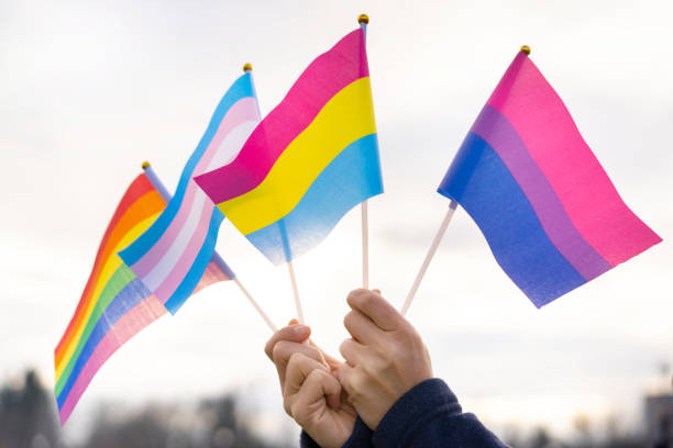 руки, держащие флаги гордости в небе - lgbt pride flag стоковые фото и изображения