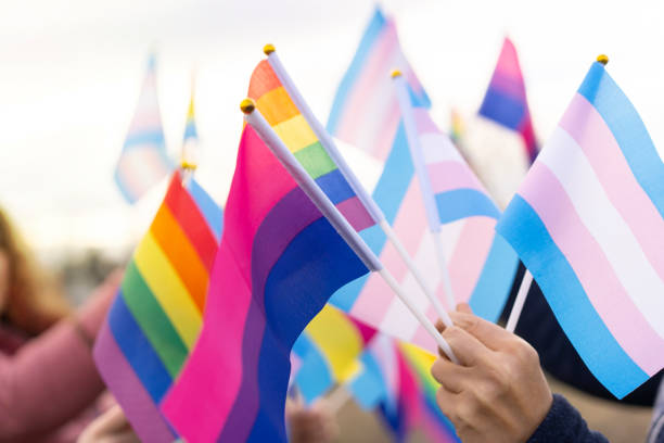 Diverse LBGTQi flags Diverse LBGTQi flags pride flag stock pictures, royalty-free photos & images