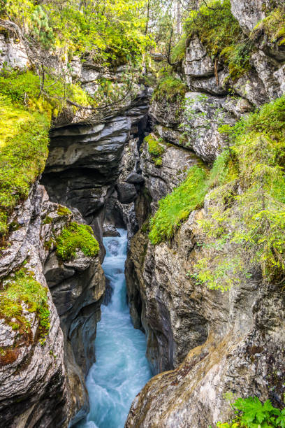 istock Glacier gorge in Swiss Alps 1297982647
