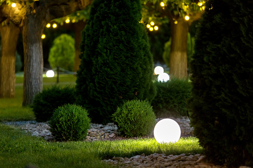ground garden lantern with glow by electric lamp with a ball diffuser in the green grass on background evergreen thuja bushes close up in a landscaped park night scene, nobody.