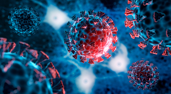 550+ Coronavirus Pictures [HD] | Download Free Images on Unsplash