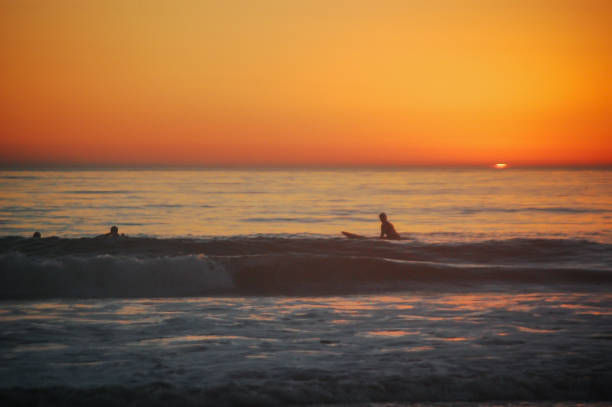 Surfer prepares for evening ride at sunset