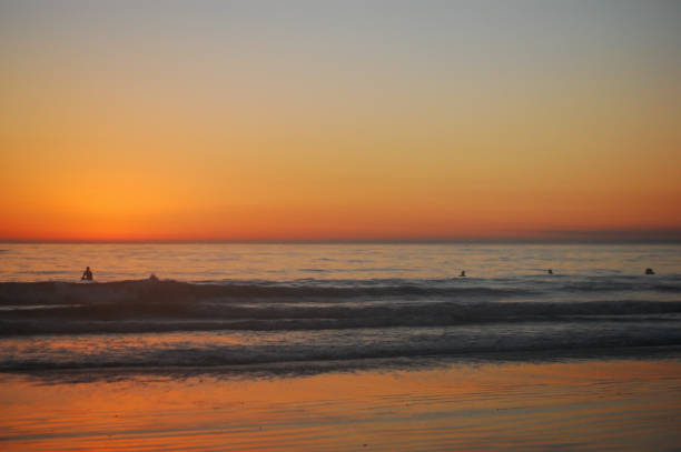 istock Surfer prepares for evening ride at sunset 1297988318