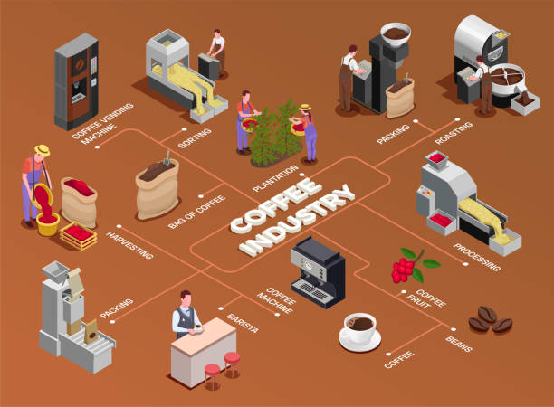 1905.i201.031.S.m004.c13.coffee industry production isometric 2x2 Coffee industry production isometric flowchart with fruits harvesting processing roasting grinding serving freshly brewed beverage vector illustration steep stock illustrations