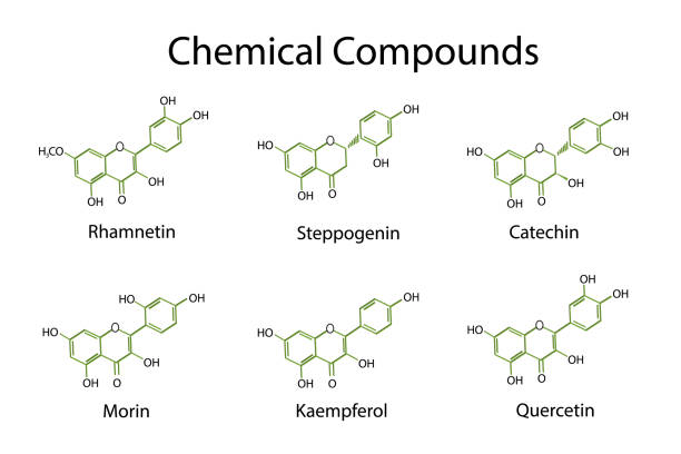 ilustrações, clipart, desenhos animados e ícones de anti atividade inflamatória de flavonoides - quercetin