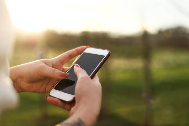 istock Tattooed Woman Using Phone in Nature 1297991595