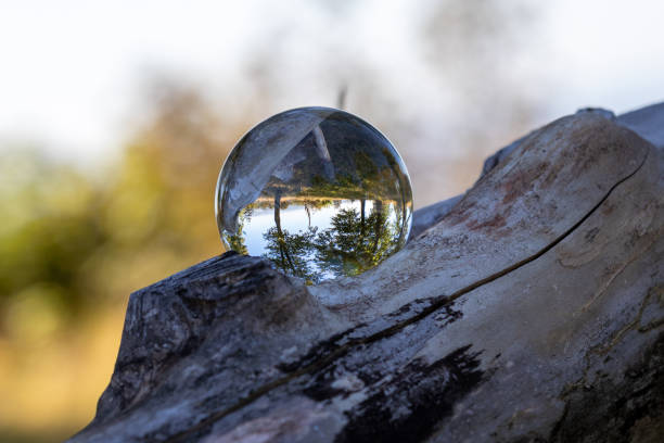 istock Landscape in a glass ball on a thick branch 1297991919
