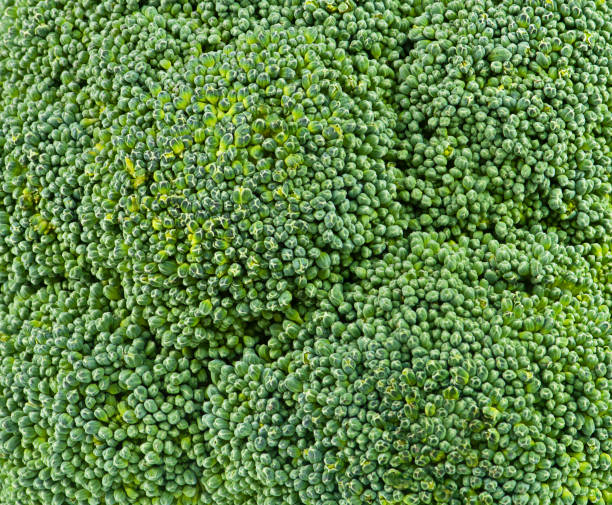 istock Background from fresh green broccoli, close-up. 1297992067