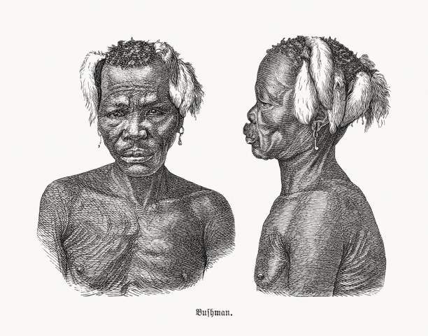 Bushman (San people), wood engravings, published in 1893 Bushman (San people) - native people in southern Africa. Wood engraving, published in 1893. bushmen stock illustrations
