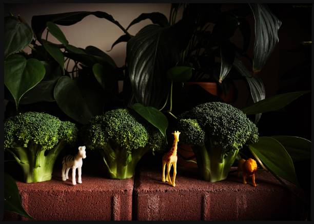 istock Small Toy Animals in Make Believe Scene 1297996637