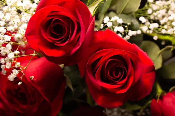 Detail of a red rose bouquet accented with baby's breath