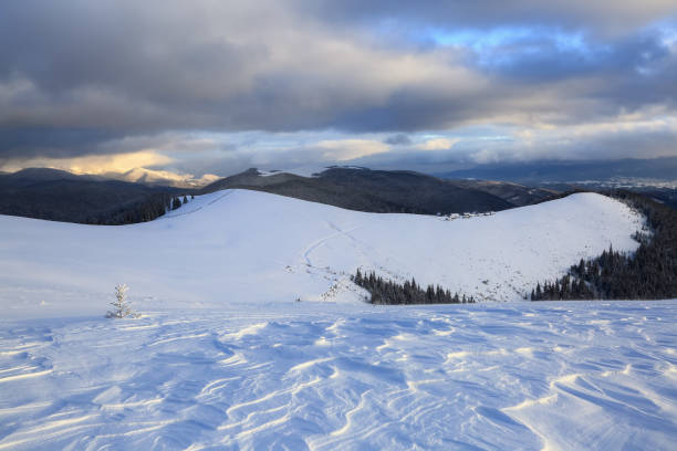 istock Winter scenery. Amazing snowy forest with pine tree. Lawn covered with white snow. Beautiful landscape of high mountains, sky with clouds and fog. Wallpaper snowy background. 1297999276