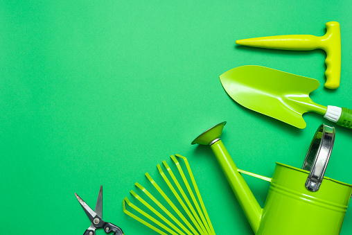 Garden tools on the green background with copy space. Rake, spade, secateurs and watering can.