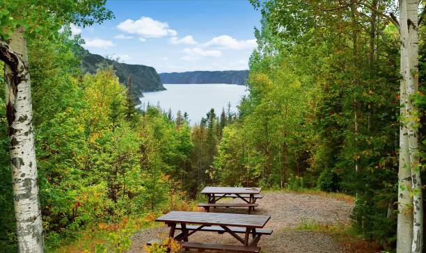 istock Panoramic view of the river Saguenay 1298000982