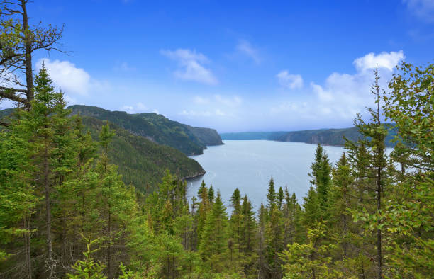 istock Panoramic view of the river Saguenay 1298001017