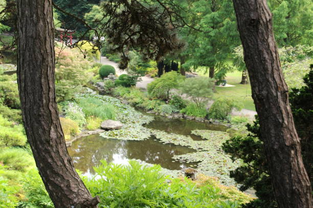 istock Dortmund's Westfalenpark in summer 1298004394