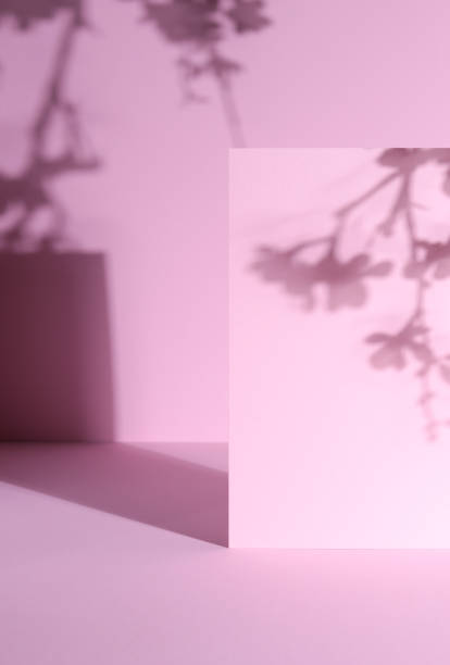 Pink Abstract Background with cherry blossom shadows and geometric shadows