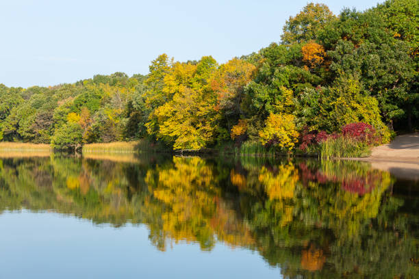 istock Lakeshore on Calm Autumn Morning 1298005797