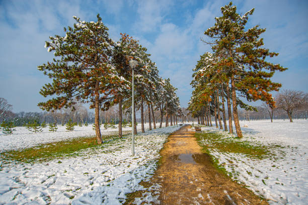 Beautiful park in the Belgrade, Serbia under the snowy cold weather