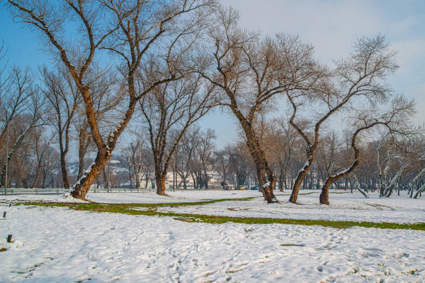 istock Beautiful park under the snowy cold weather 1298006762