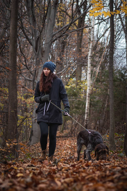 istock Woman Exercising with Dog 1298006852