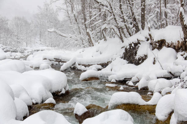 istock Mountain river covered with snow and ice in mountain gorge. Winter reserve. Concept - winter season. 1298007774
