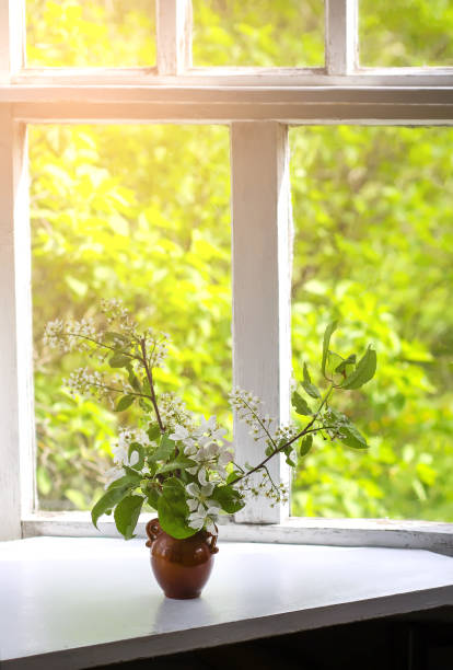 istock Bouquet of flowering bird cherry branches 1298012474